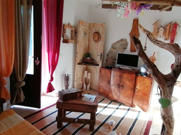 casa indipendente in vendita a Castell'Azzara in zona Selvena