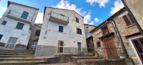 casa indipendente in vendita a Castell'Azzara
