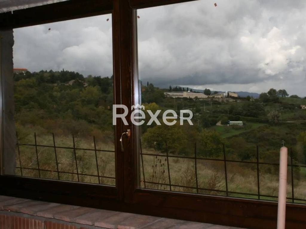 terreno agricolo in vendita a Castell'Azzara