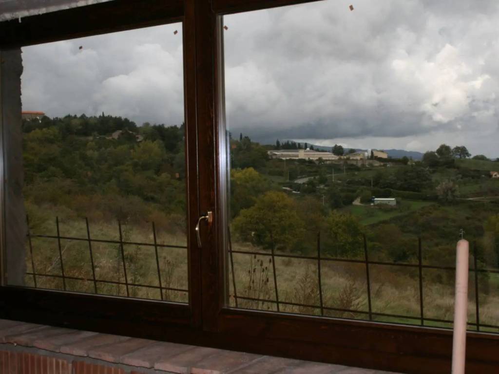 terreno agricolo in vendita a Castell'Azzara