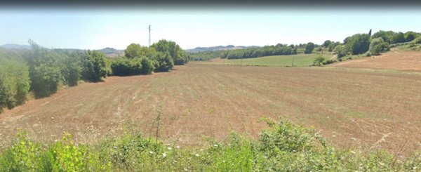 azienda agricola in vendita a Castell'Azzara