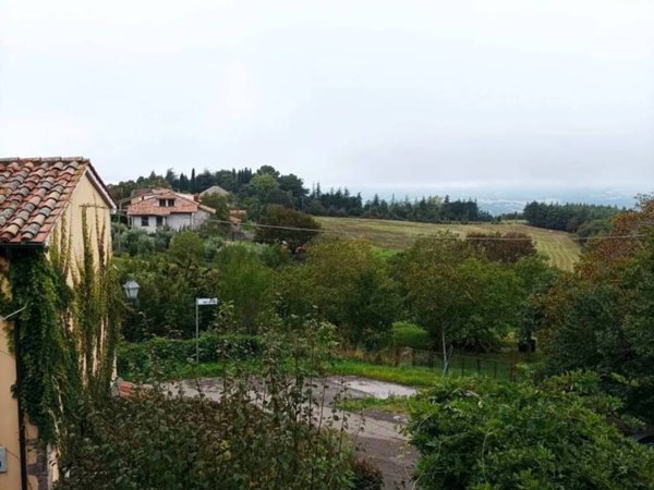 appartamento in vendita a Castell'Azzara in zona Selvena