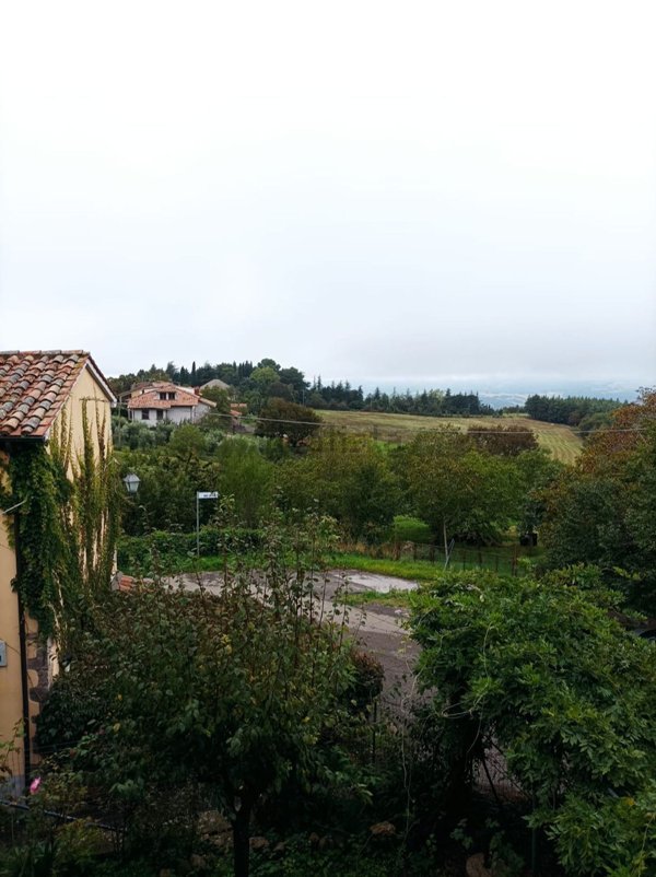 appartamento in vendita a Castell'Azzara in zona Selvena