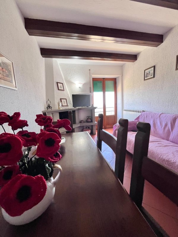 appartamento in vendita a Castell'Azzara