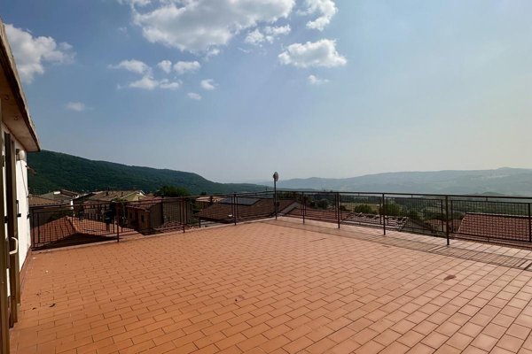 casa indipendente in vendita a Castell'Azzara in zona Selvena
