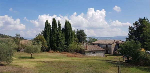 azienda agricola in vendita a Castell'Azzara