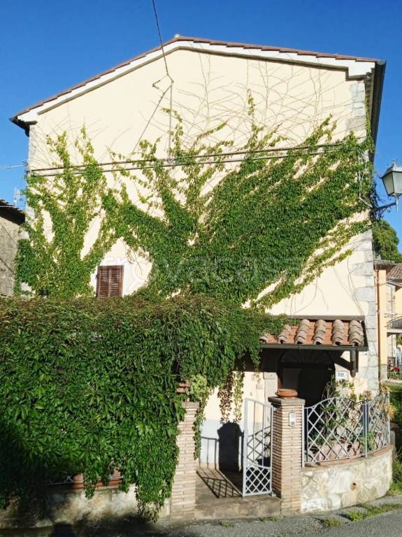 immagine annuncio 0 di 15