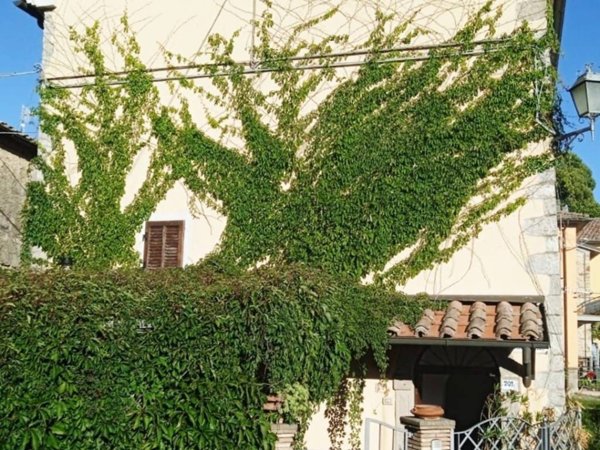 casa indipendente in vendita a Castell'Azzara in zona Selvena