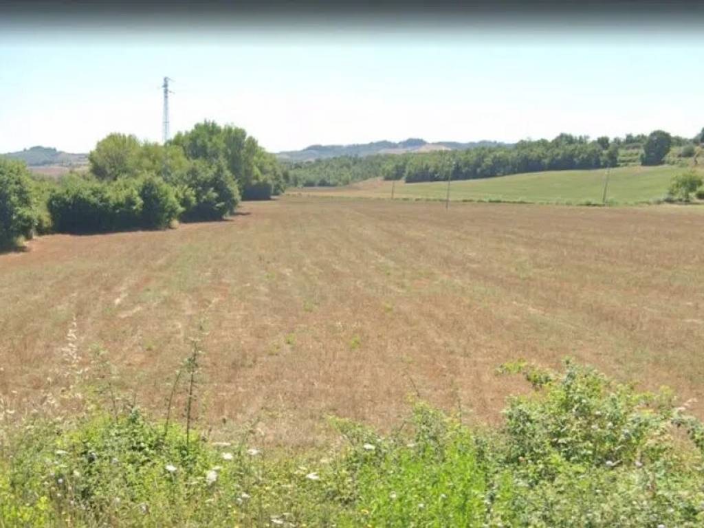 negozio in vendita a Castell'Azzara