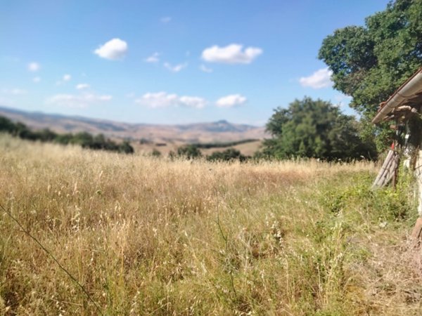 azienda agricola in vendita a Castell'Azzara