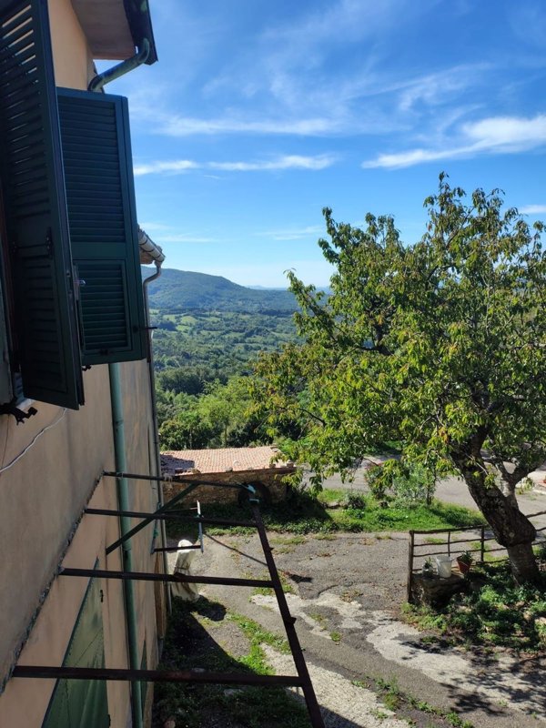 casa indipendente in vendita a Castell'Azzara in zona Selvena