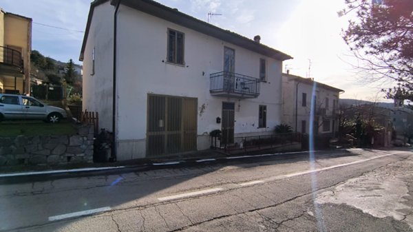 casa indipendente in vendita a Castell'Azzara in zona Selvena
