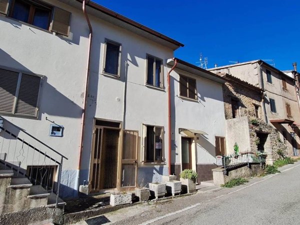 casa indipendente in vendita a Castell'Azzara in zona Selvena