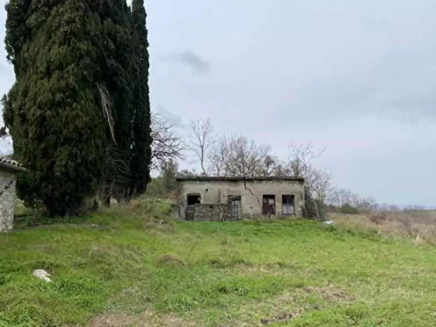 appartamento in vendita a Castell'Azzara in zona Selvena