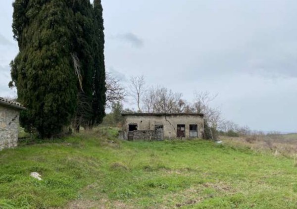 appartamento in vendita a Castell'Azzara in zona Selvena