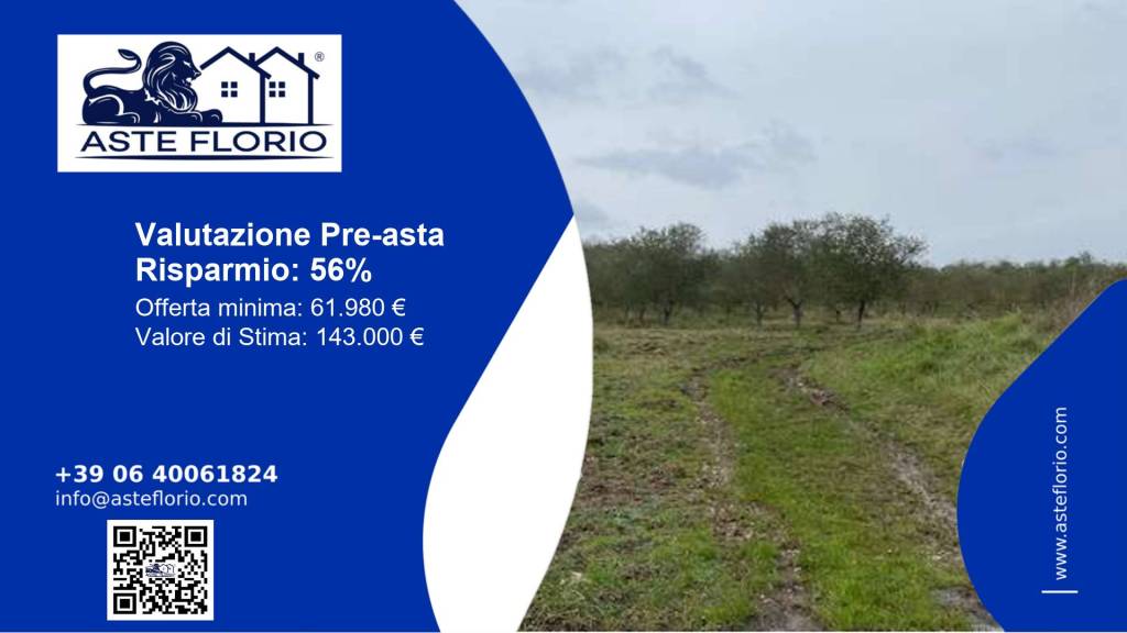 terreno agricolo in vendita a Castell'Azzara