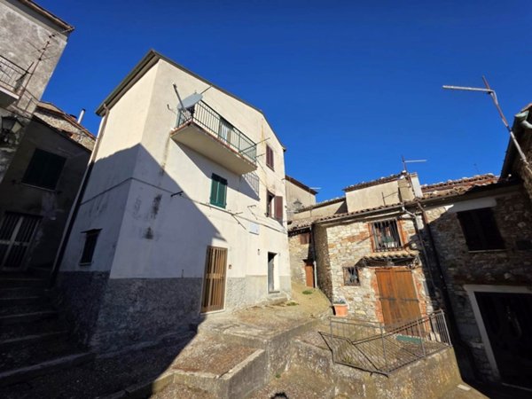 casa indipendente in vendita a Castell'Azzara