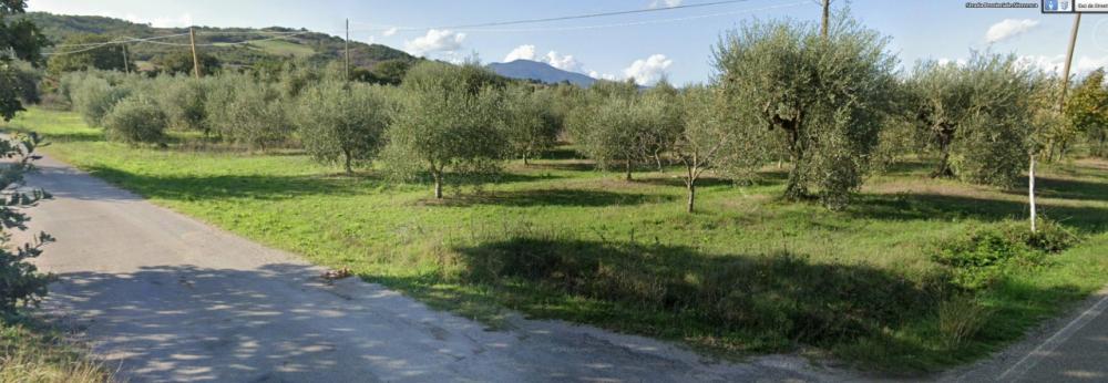 azienda agricola in vendita a Castell'Azzara in zona Selvena