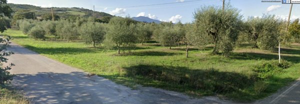 negozio in vendita a Castell'Azzara