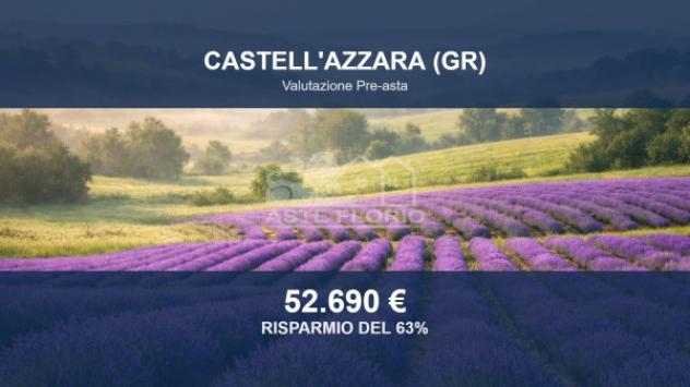 terreno agricolo in vendita a Castell'Azzara