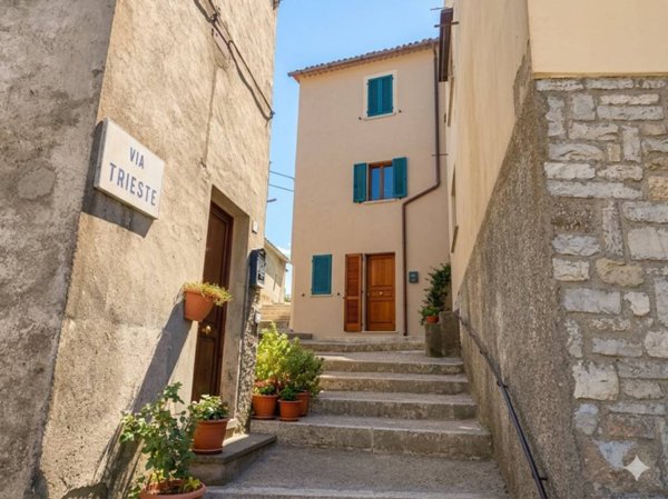 casa indipendente in vendita a Castell'Azzara