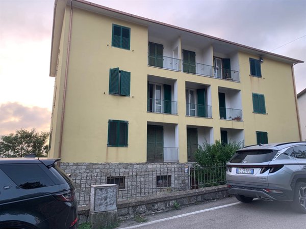 appartamento in vendita a Castell'Azzara in zona Selvena