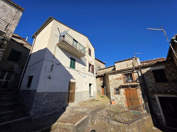 casa indipendente in vendita a Castell'Azzara