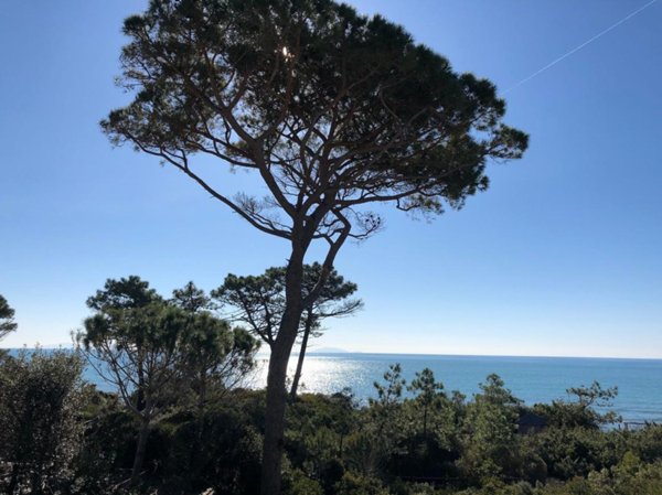 quadrivano in vendita a Castiglione della Pescaia in zona Roccamare