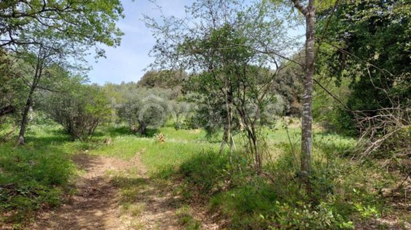 terreno agricolo in vendita a Castiglione della Pescaia in zona Vetulonia