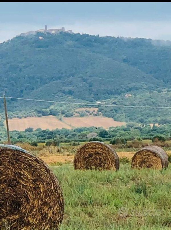 terreno agricolo in vendita a Castiglione della Pescaia in zona Vetulonia