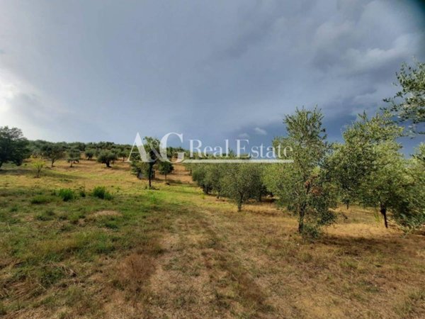 terreno agricolo in vendita a Castiglione della Pescaia in zona Vaticino