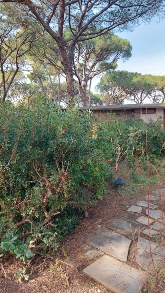 casa indipendente in vendita a Castiglione della Pescaia in zona Roccamare