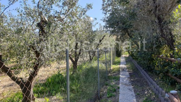 casa indipendente in vendita a Castiglione della Pescaia