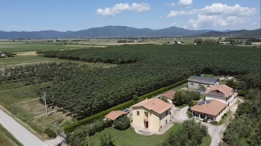 casa indipendente in vendita a Castiglione della Pescaia