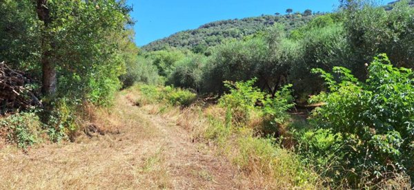 terreno agricolo in vendita a Castiglione della Pescaia in zona Vetulonia