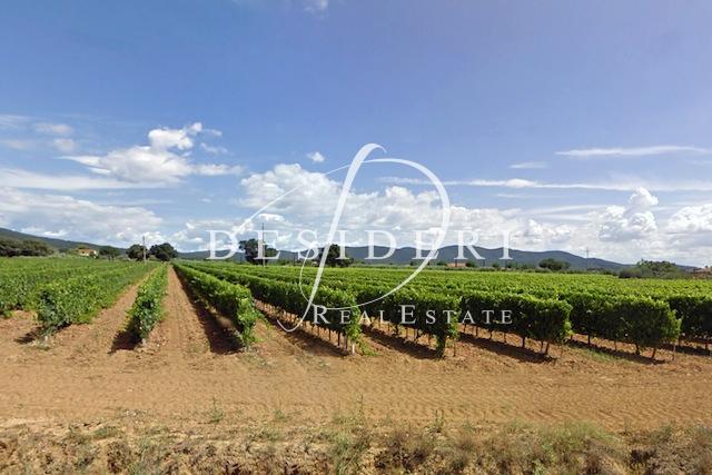 negozio in vendita a Castiglione della Pescaia