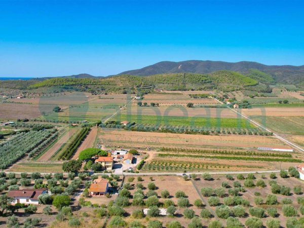 terreno agricolo in vendita a Castiglione della Pescaia in zona Rocchette