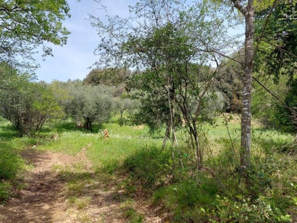 terreno agricolo in vendita a Castiglione della Pescaia in zona Vetulonia