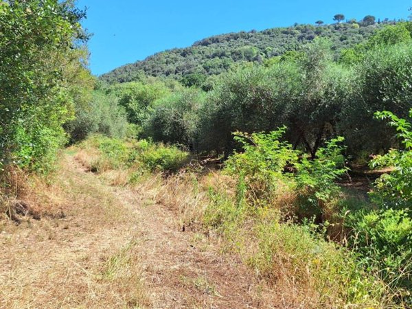 terreno agricolo in vendita a Castiglione della Pescaia in zona Vetulonia