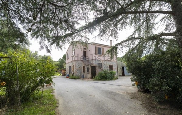 esavano in vendita a Castiglione della Pescaia in zona Vetulonia