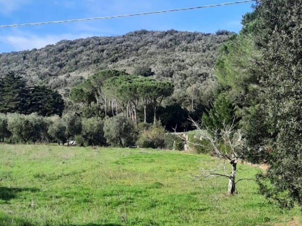 terreno agricolo in vendita a Castiglione della Pescaia