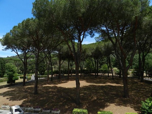 appartamento in vendita a Castiglione della Pescaia in zona Ampio