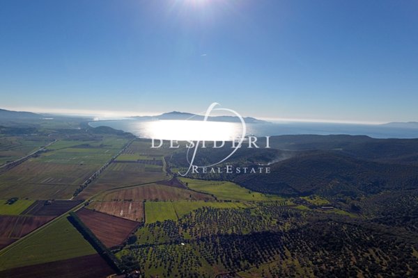 azienda agricola in vendita a Castiglione della Pescaia