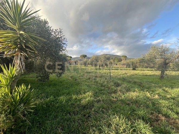 terreno edificabile in vendita a Castiglione della Pescaia
