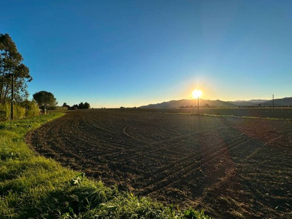 terreno agricolo in vendita a Castiglione della Pescaia in zona Vetulonia