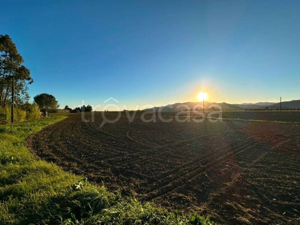 terreno agricolo in vendita a Castiglione della Pescaia