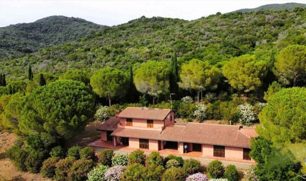 azienda agricola in vendita a Castiglione della Pescaia in zona Ampio