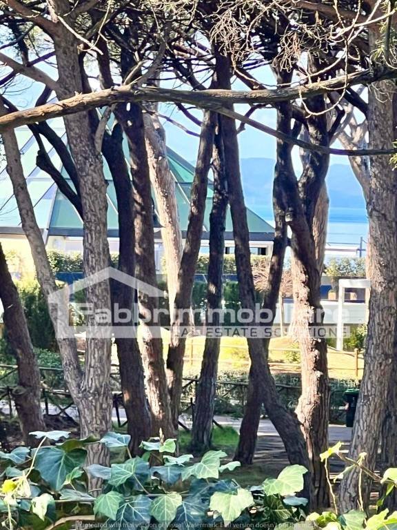 appartamento in vendita a Castiglione della Pescaia in zona Punta Ala