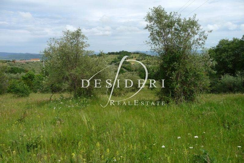 terreno agricolo in vendita a Castiglione della Pescaia in zona Vetulonia