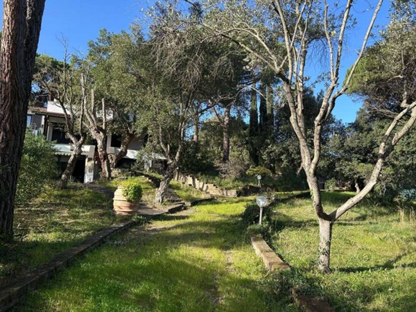casa indipendente in vendita a Castiglione della Pescaia